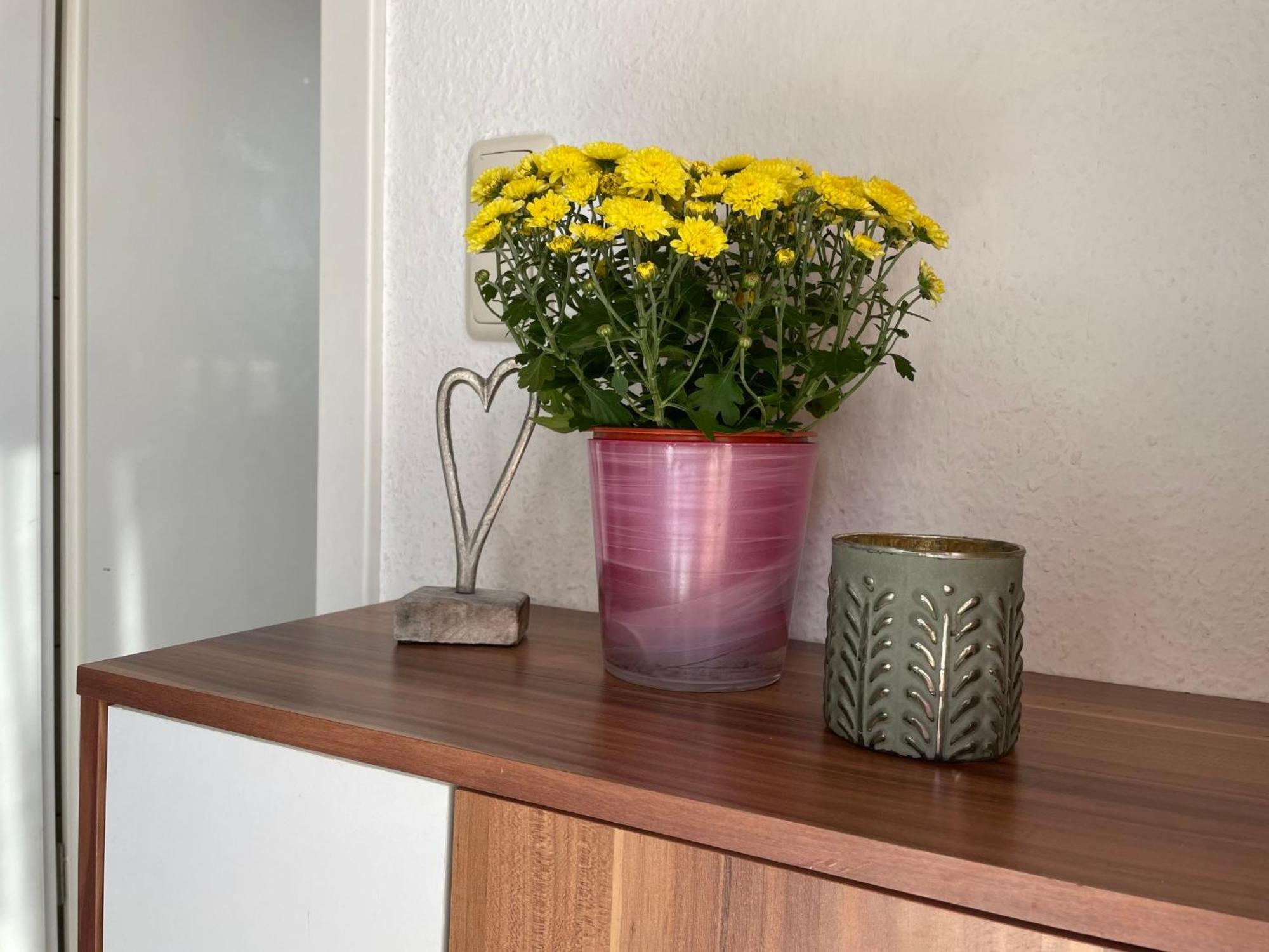 Apartment Old Huesung - Muz328 By Interhome ミロー エクステリア 写真